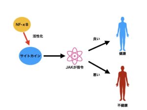 saitokain